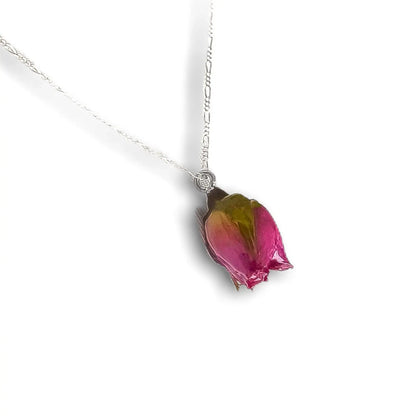 Echte Rose Anhänger mit 925 Sterling Silberkette - Botan