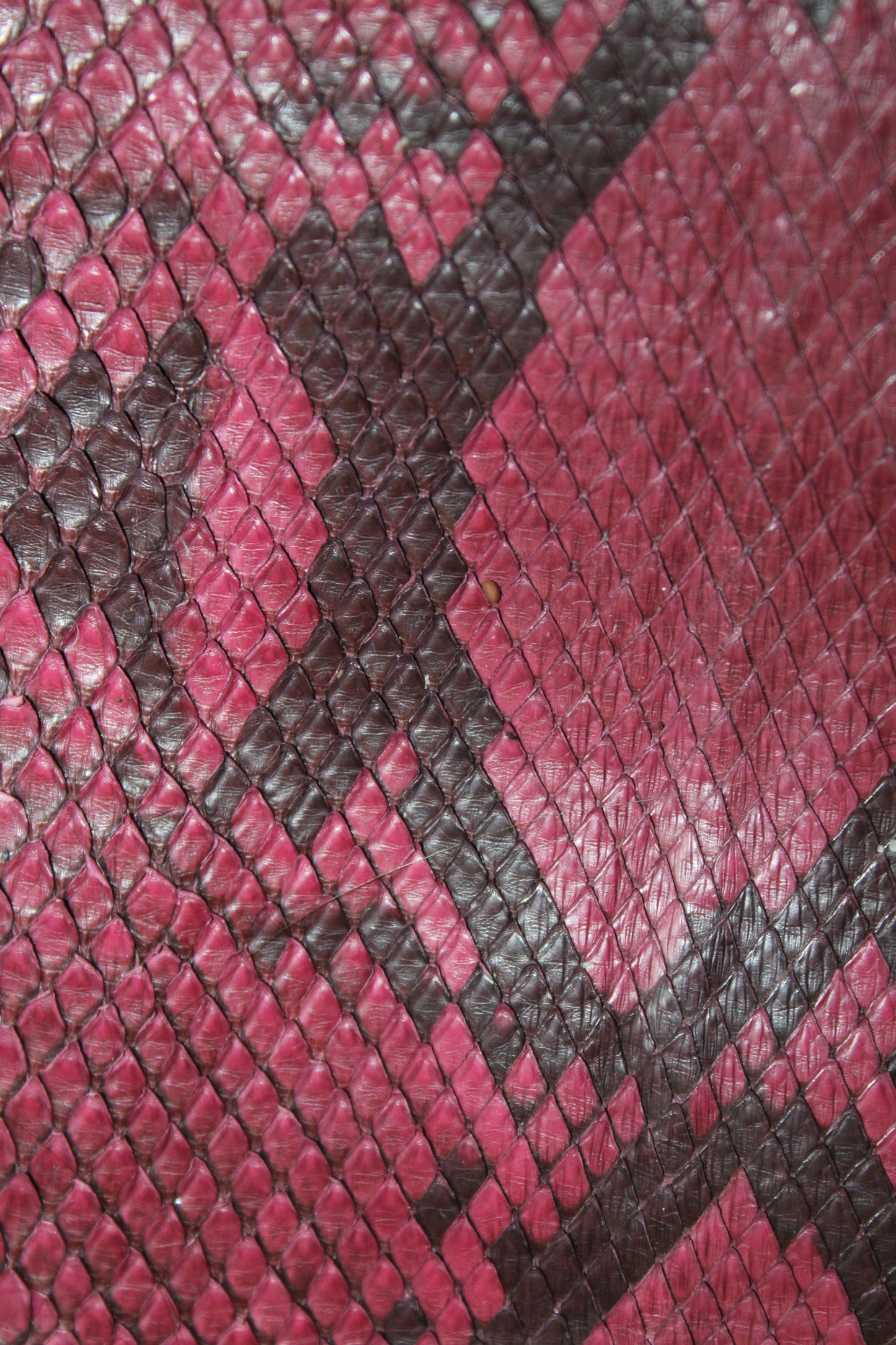 Burberry Prorsum Fall/Winter 2010 Python Over-the-Knee Boots – Magenta – Size 40