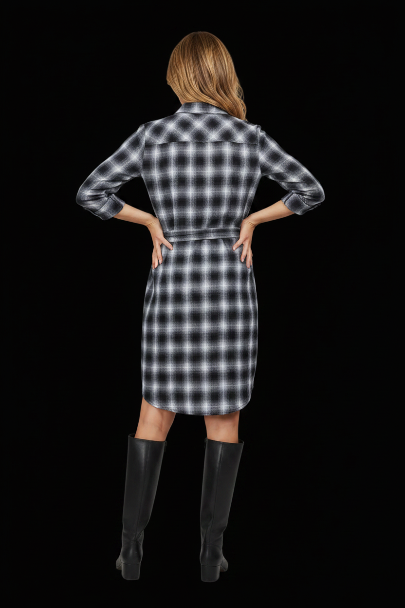 Ralph Lauren Denim & Supply — Plaid Shirt Dress